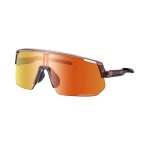 SHIMANO GAFAS TECHNIUM L 2 NEGRO MATE